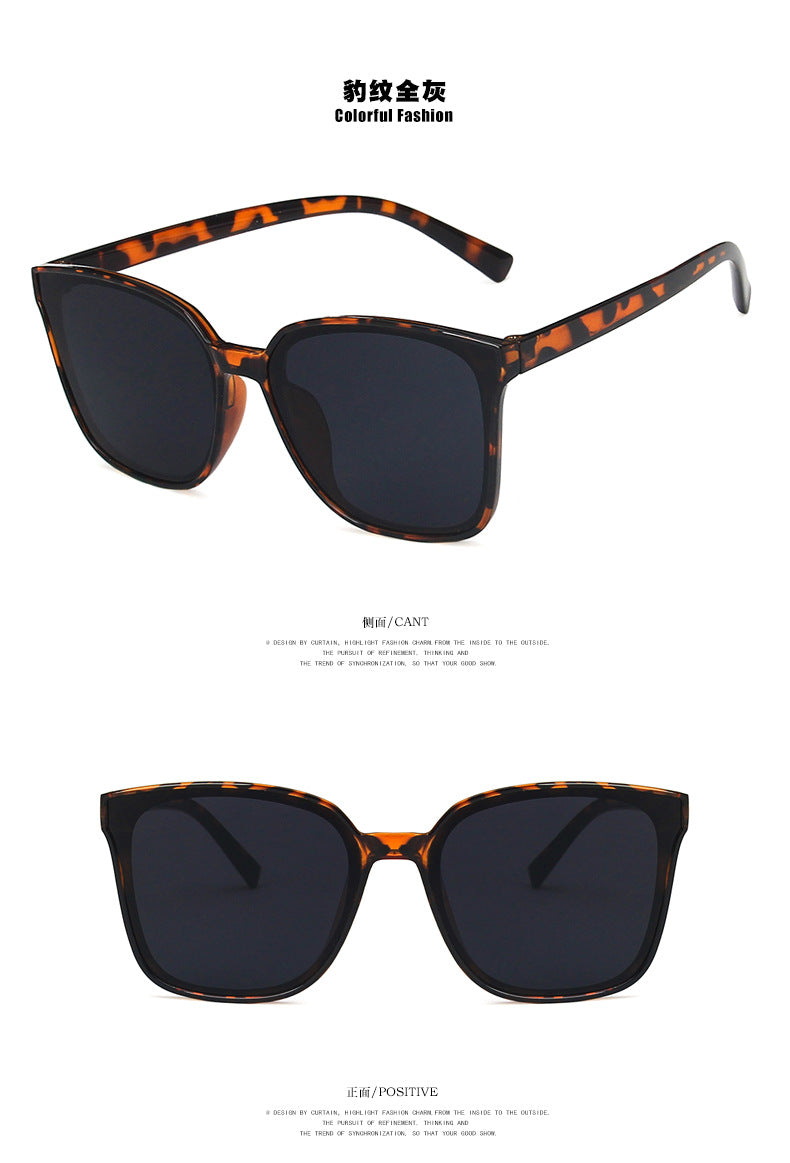fashion men's sunglasses
